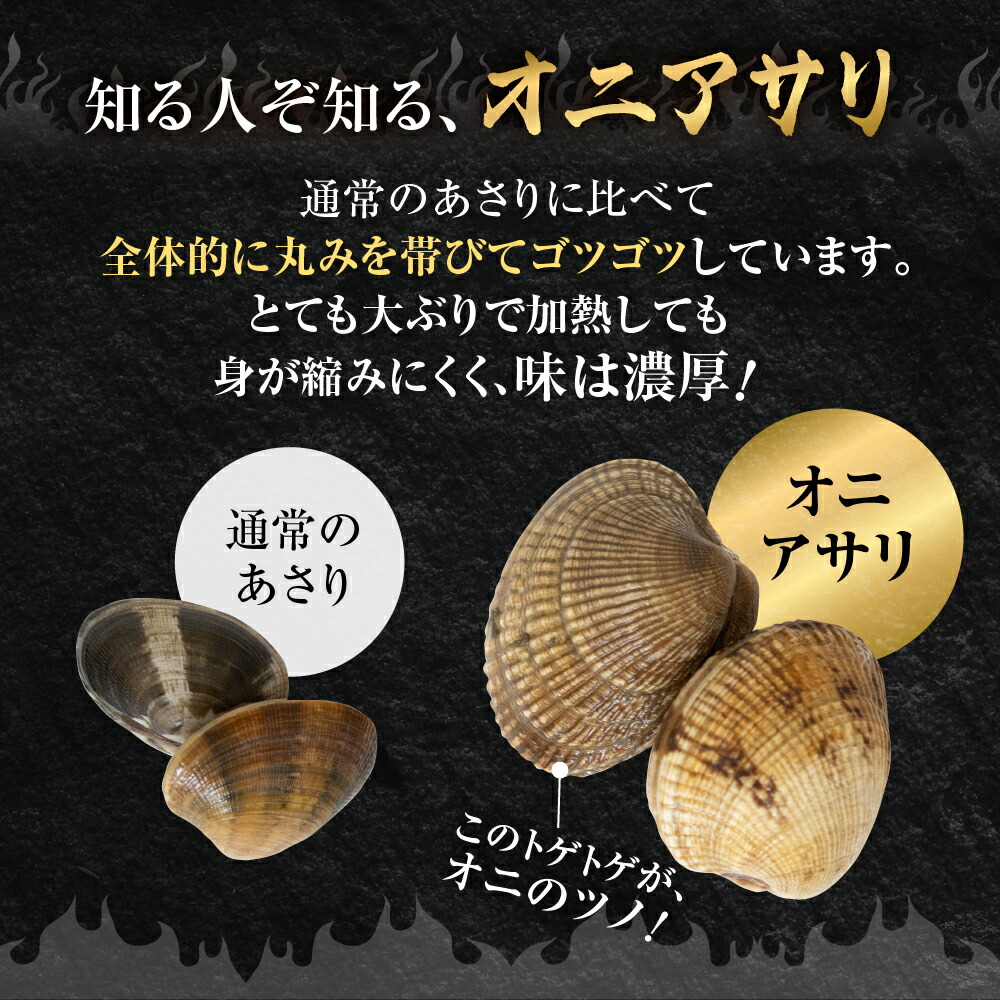 楽天市場】【ふるさと納税】渥美産 渥美産 オニアサリ 1kg あさり 砂