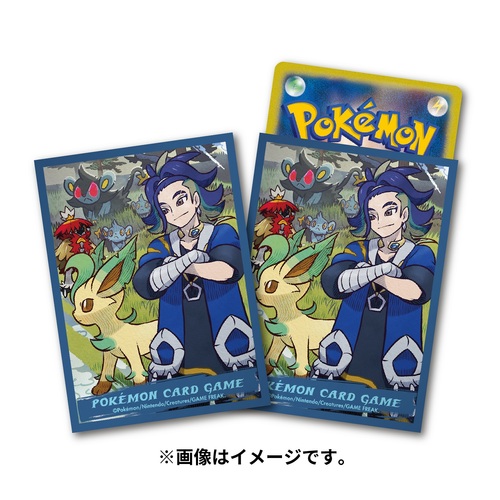 楽天市場】ポケモンセンターオリジナル ポケモンカードゲーム デッキ