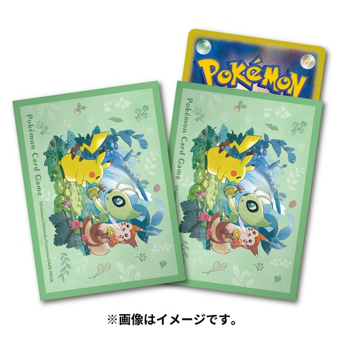 楽天市場】ポケモンセンターオリジナル ポケモンカードゲーム デッキ