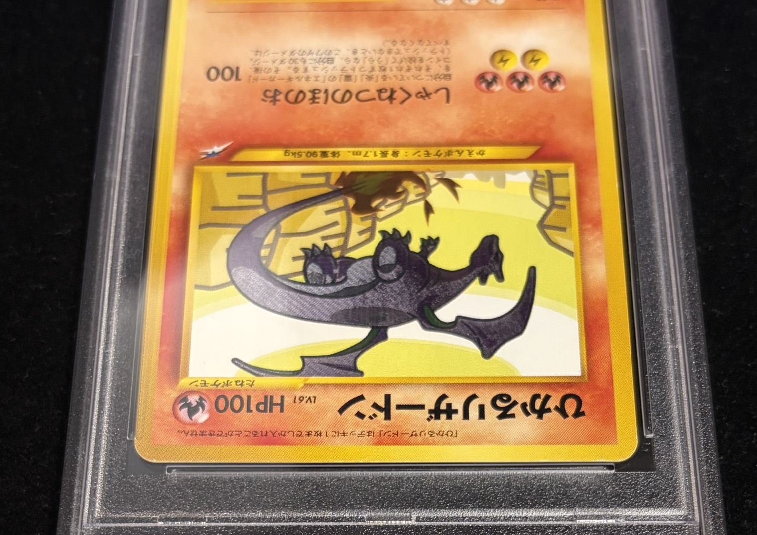 PSA8鑑定済〕ひかるリザードン【-】{旧裏}