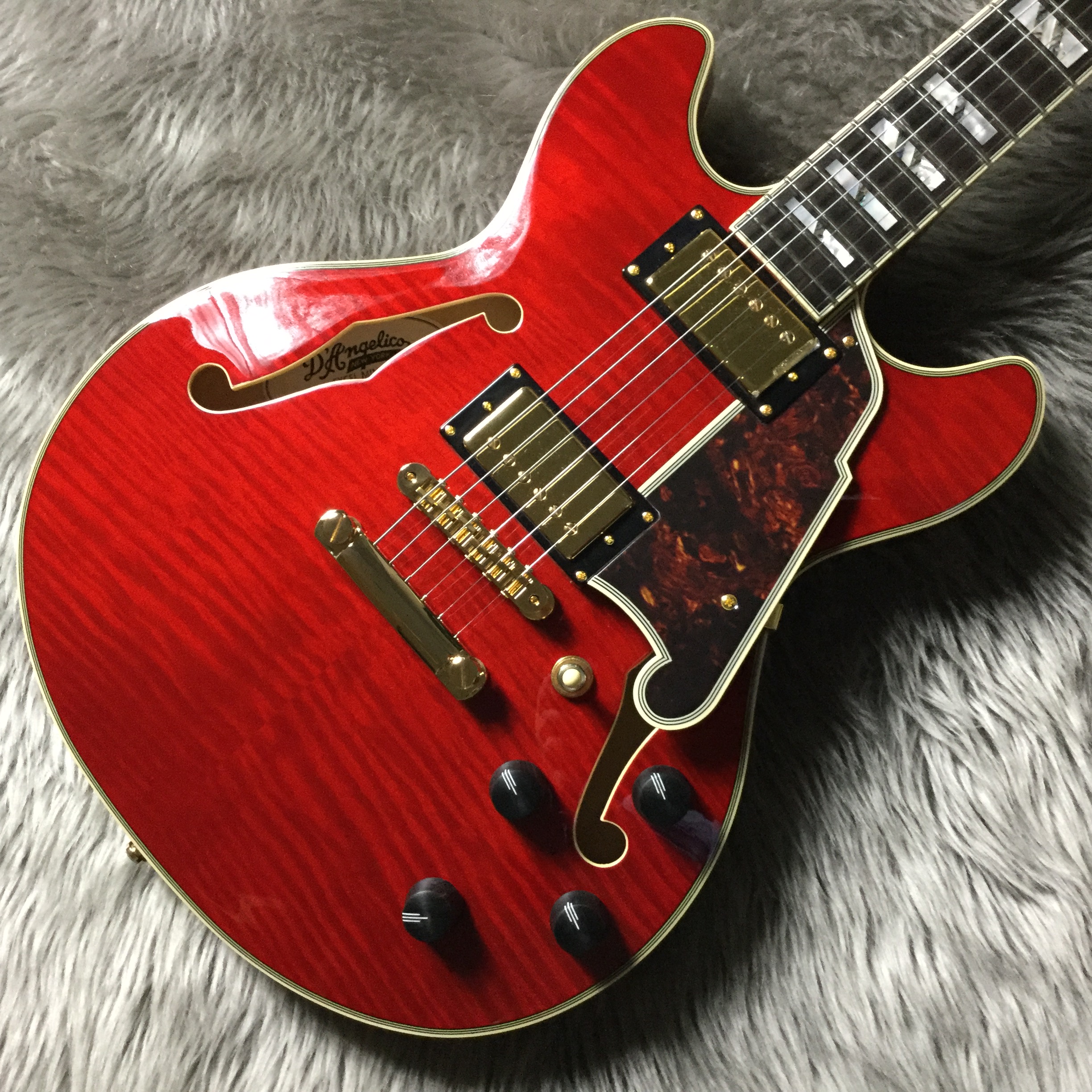 エレキギター】本日入荷！ディアンジェリコ セミアコースティック