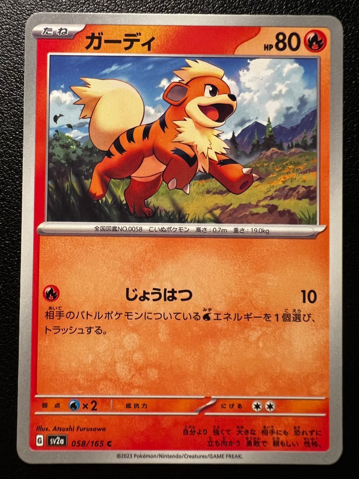 ガーディ C[SV2a 058/165](強化拡張パック「ポケモンカード151