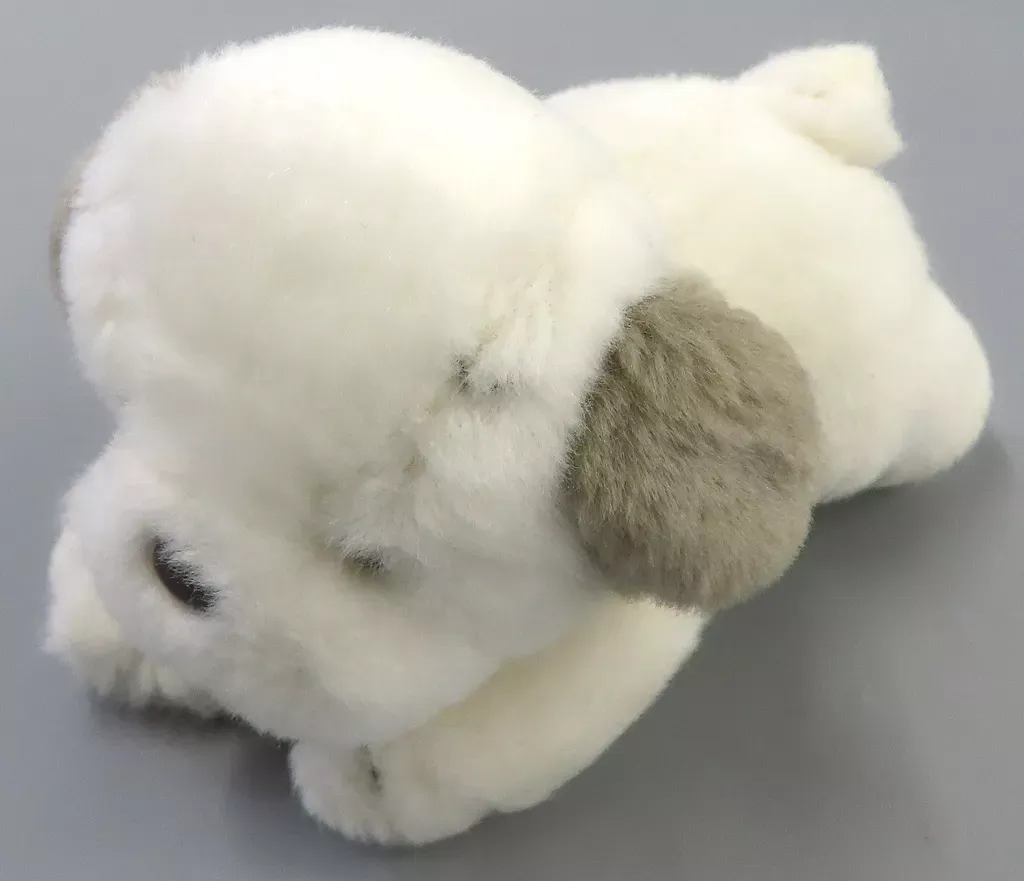 2026年最新】うめ吉 くたくたの人気アイテム - メルカリ