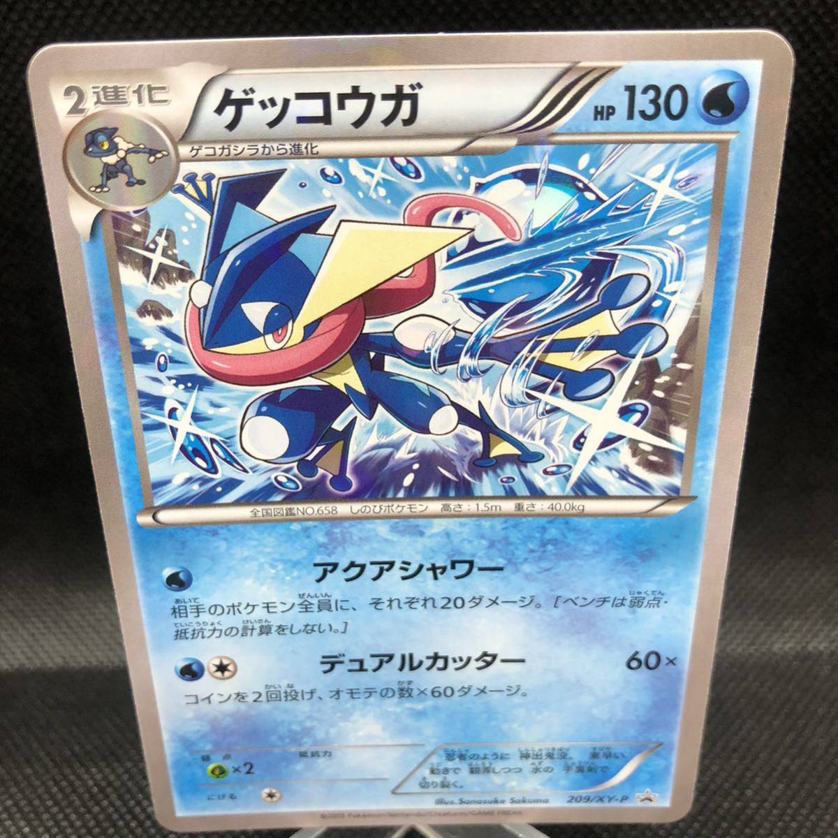 ポケモンカード XY ゲッコウガ プロモカード 209/XY-P｜Yahoo!フリマ