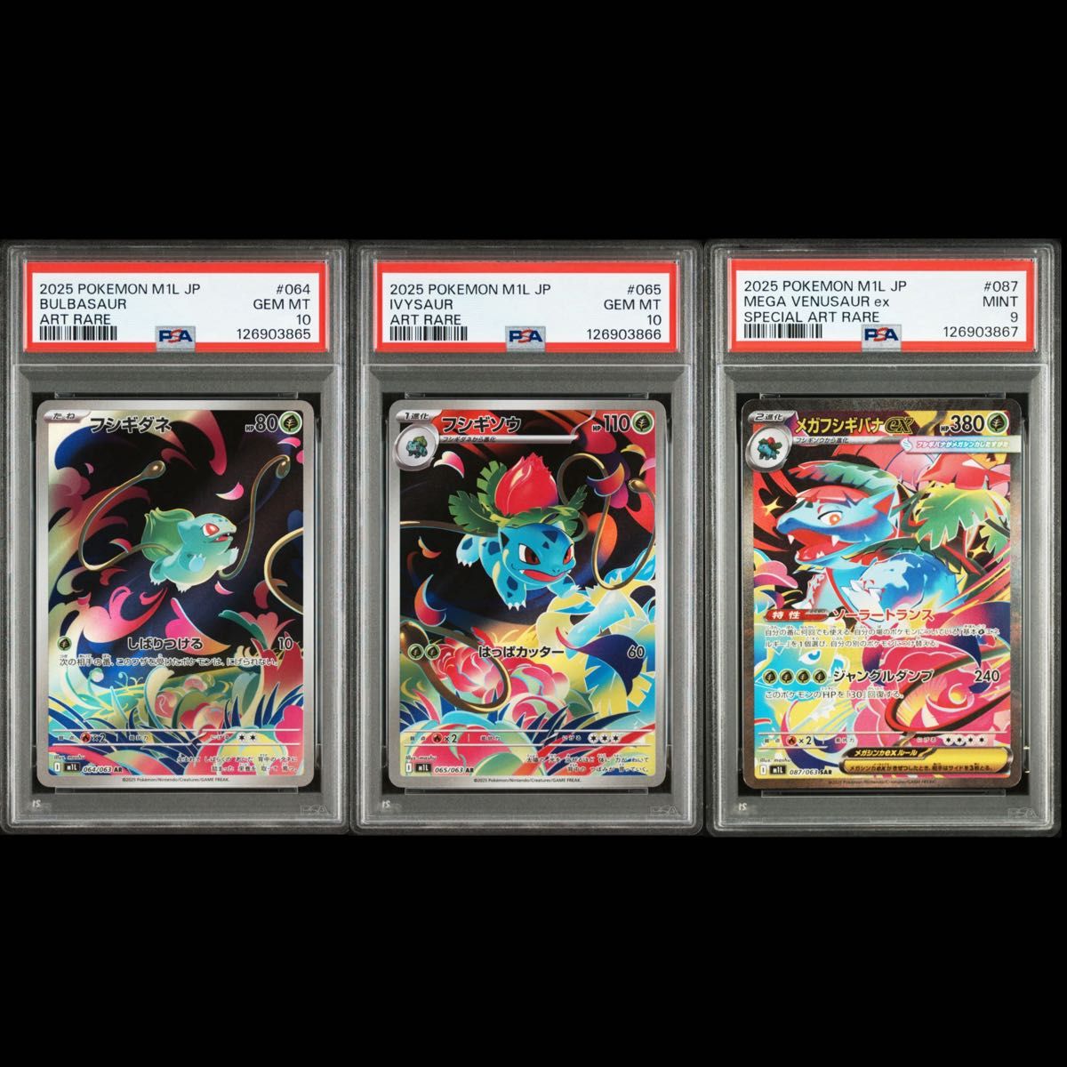 フシギダネ フシギソウ フシギバナ AR PSA10 9 3連番ポケモンカード