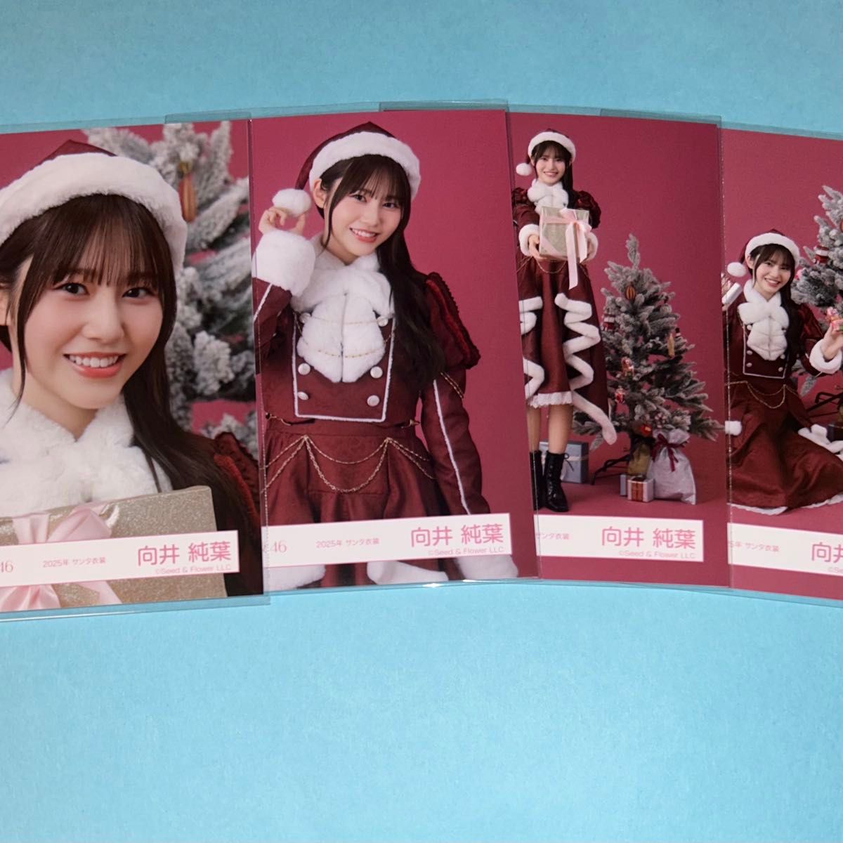 櫻坂46 向井純葉 2025年サンタ衣装 生写真｜Yahoo!フリマ（旧PayPay