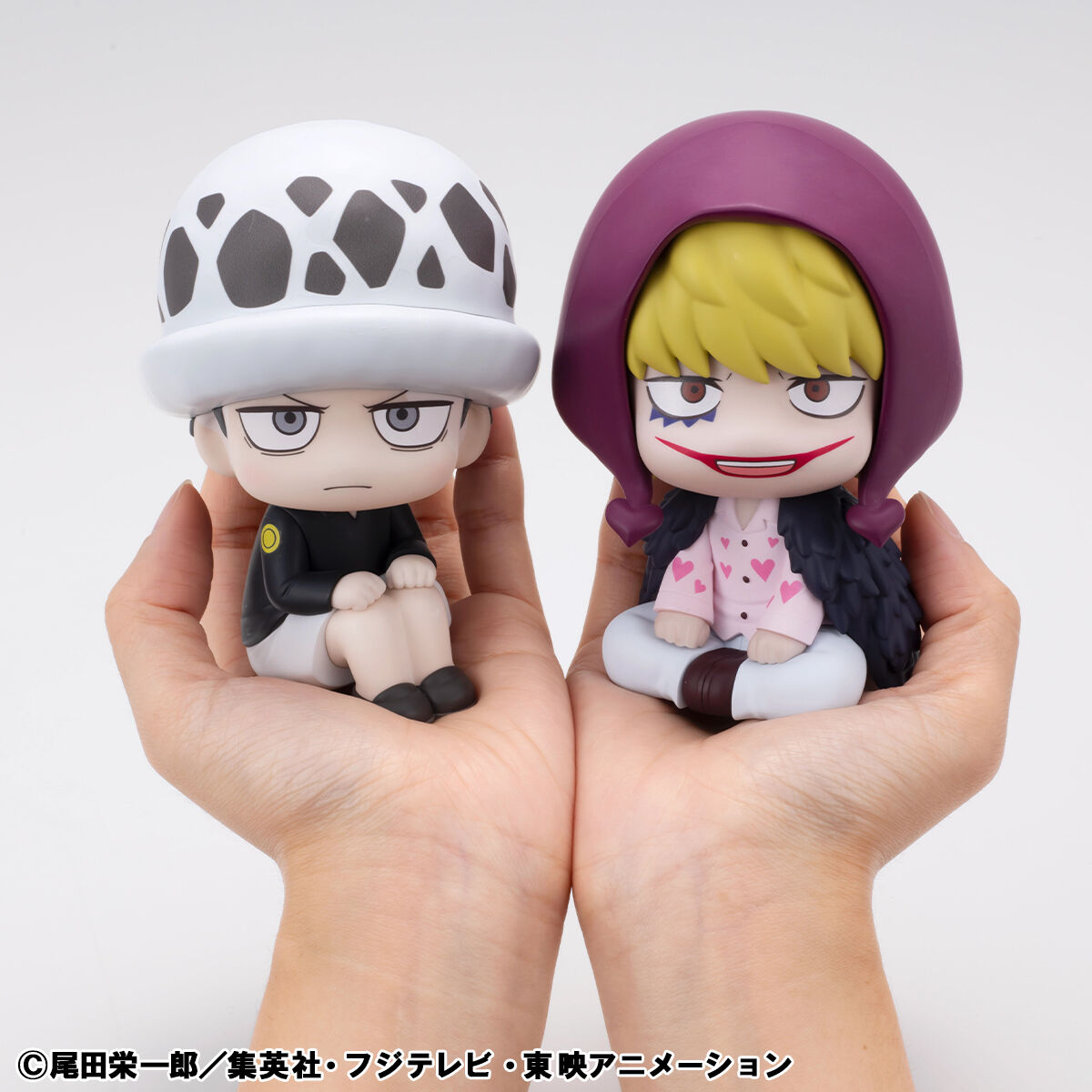 るかっぷ ONE PIECE トラファルガー・ロー 幼少期Ver.＆コラソン