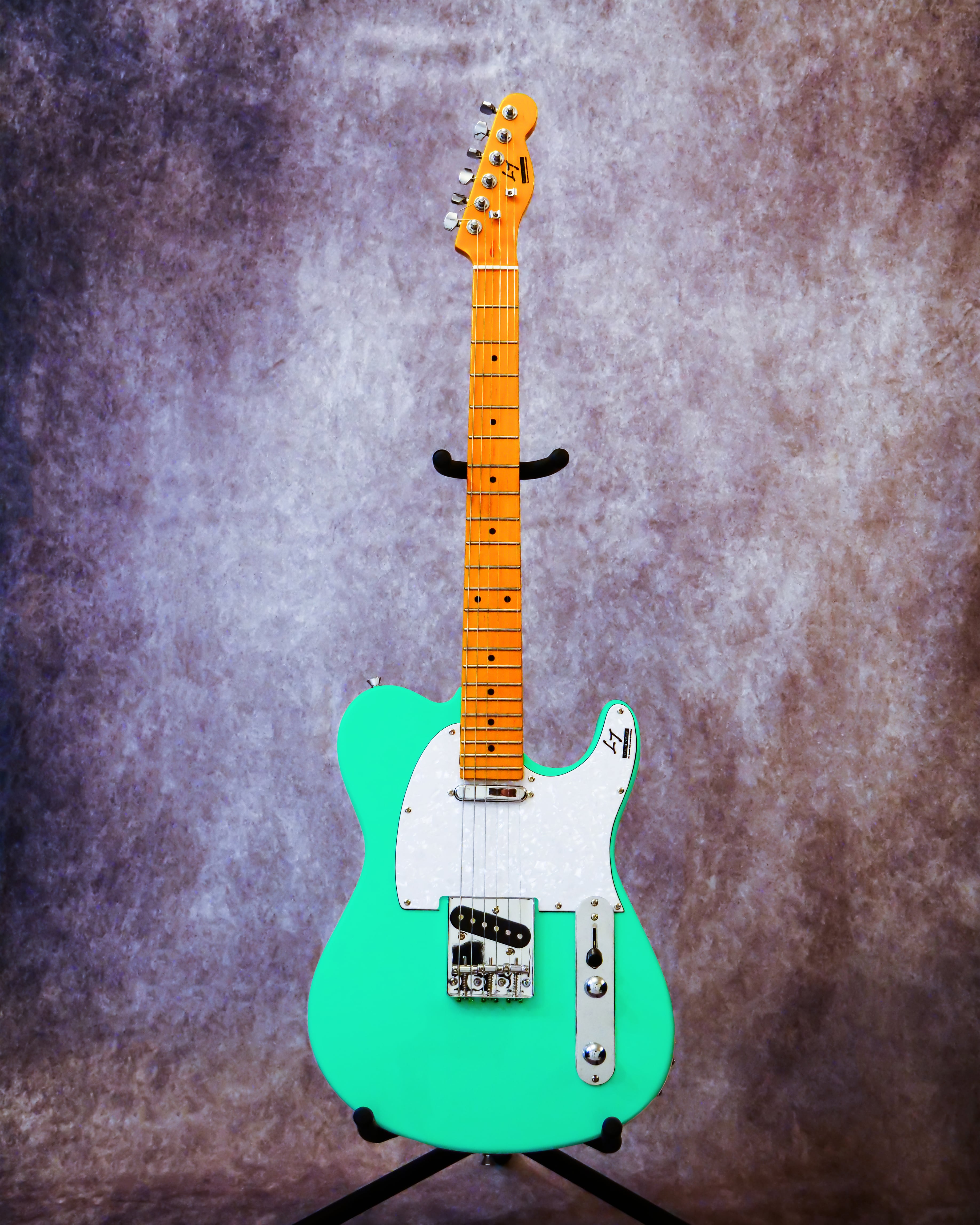 50本限定】田口達也オリジナルギター