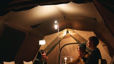 ES-101_switch12_515Wx515H-