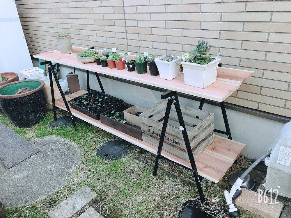 多肉棚に屋根を付ける！｜🍀GreenSnap（グリーンスナップ）