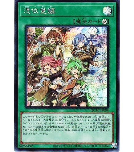 Amazon.co.jp: 遊戯王カード 灼熱の火霊使いヒータ(シークレットレア