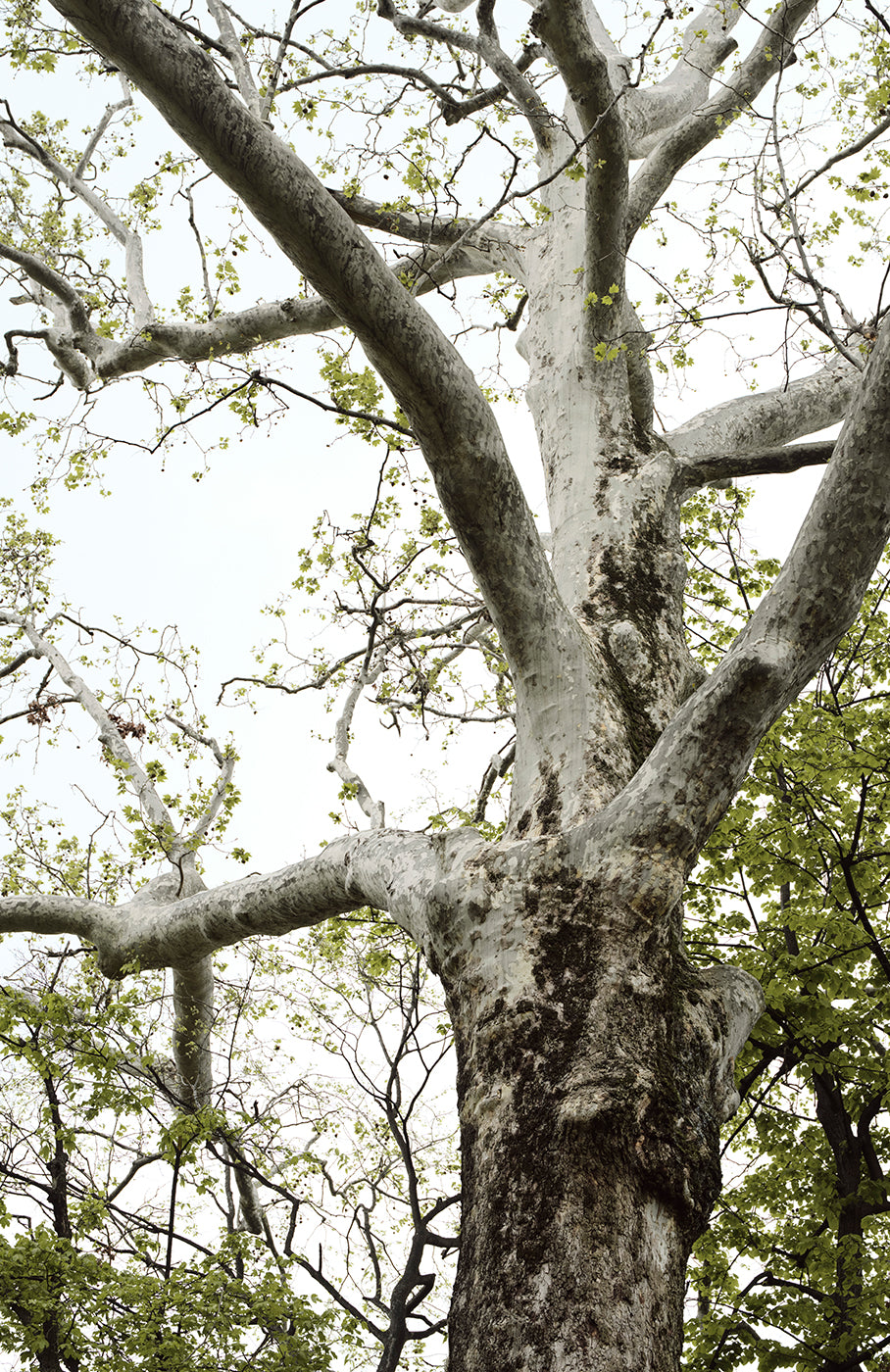 24FW_COLLECTION_1 – LARDINI Online Store