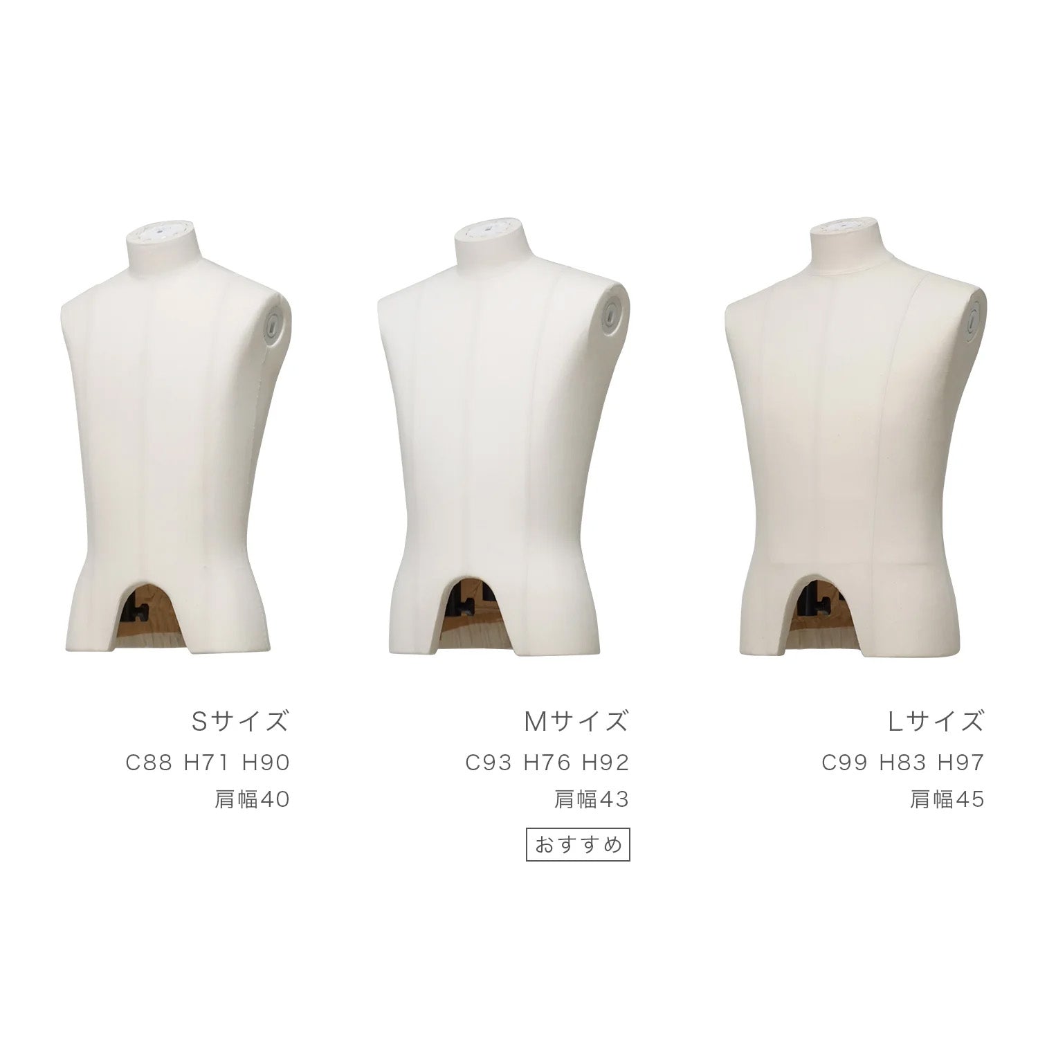 メンズ 上半身トルソー｜おしゃれな什器の企画・製造・販売 SHOP COPACK