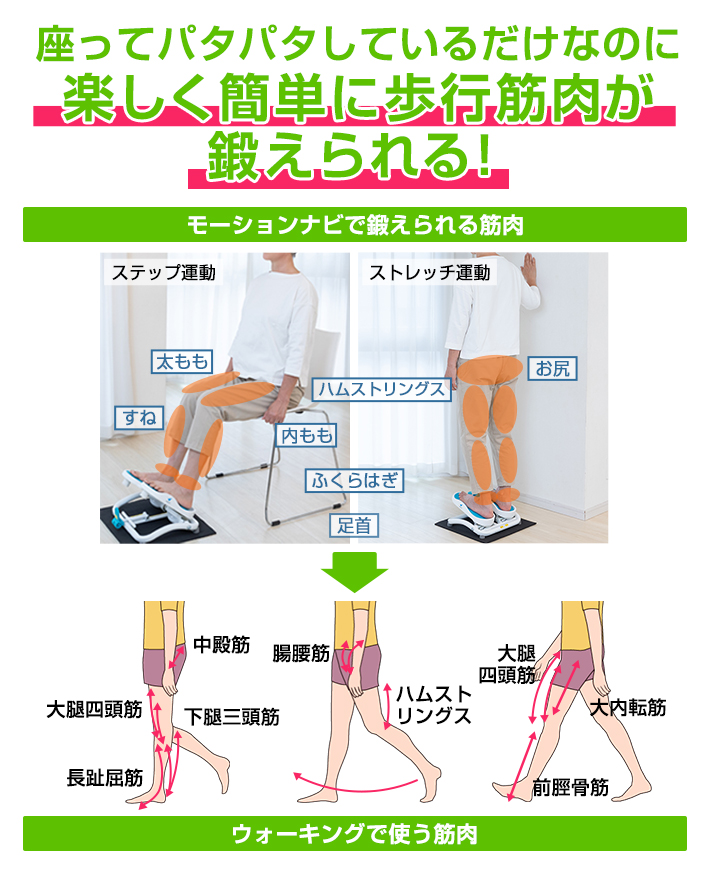 AEROLIFE（エアロライフ） ステッパー モーションナビ 足踏み 健康器具
