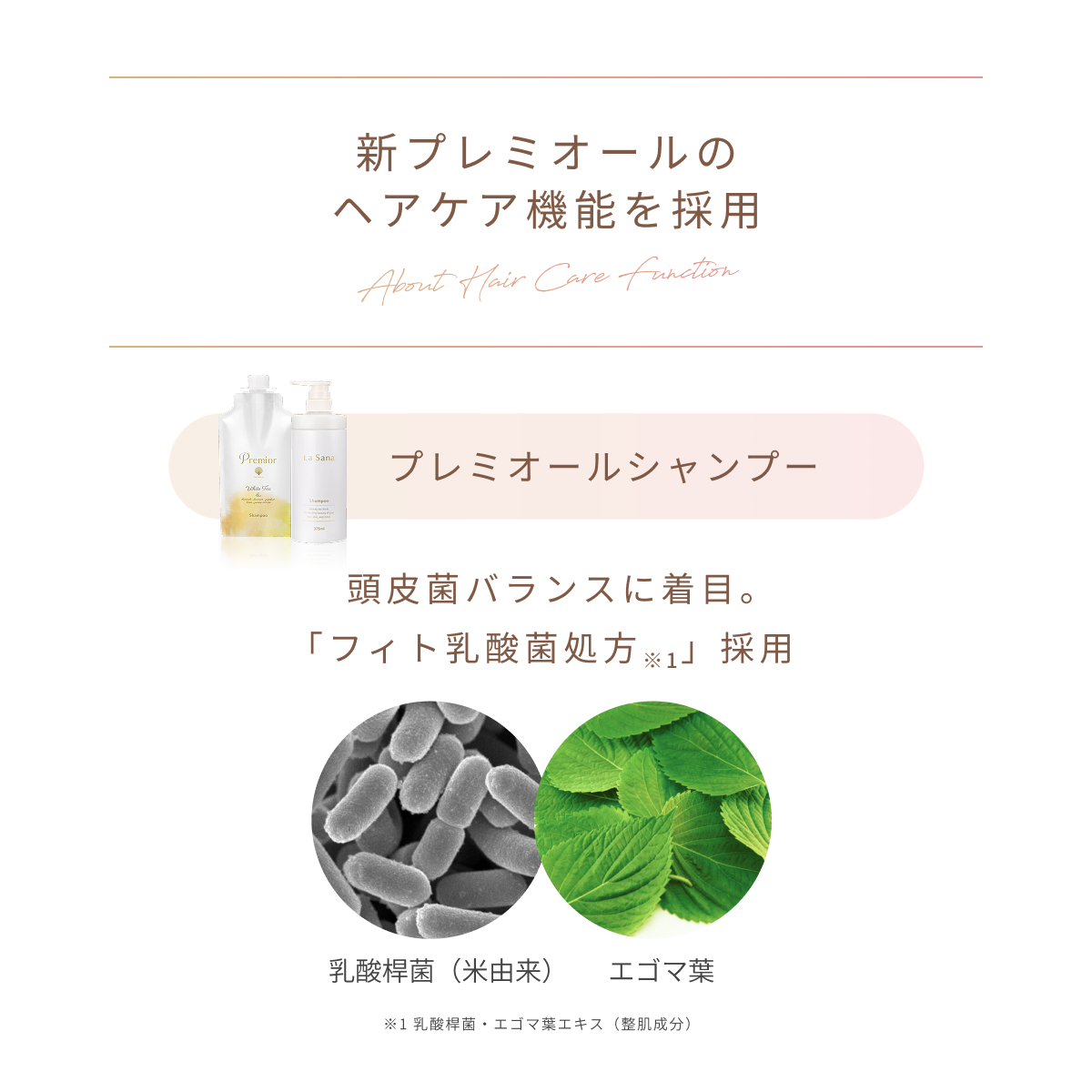 La Sana（ラサーナ） プレミオール シャンプー＆トリートメントセット