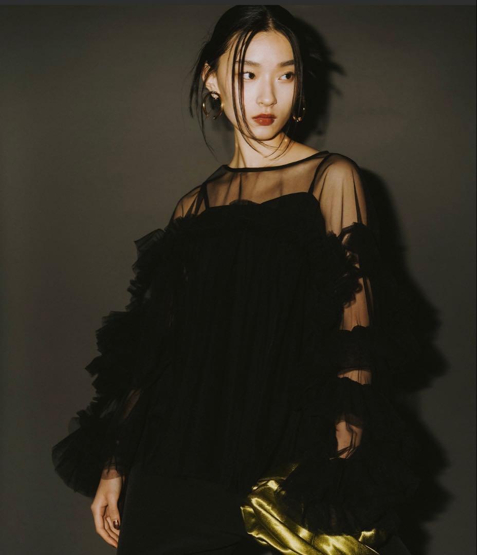 アンドレスド / ANDRESD デコラティブチュールトップス ANDRESD ドレス デコラティブチュールトップス / decorative tulle