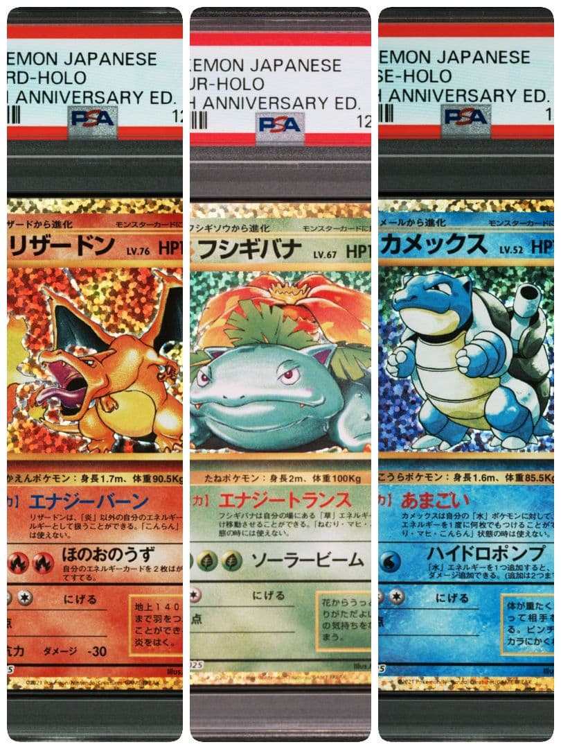 25th　ミュウ　ブラッキー　リザードン フシギバナ カメックス psa10連番
