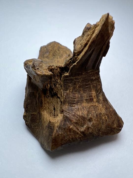 古渡命銘木 名香　真那賀　銘【露草】4.508g カサニア香木/お香/沈香/伽羅