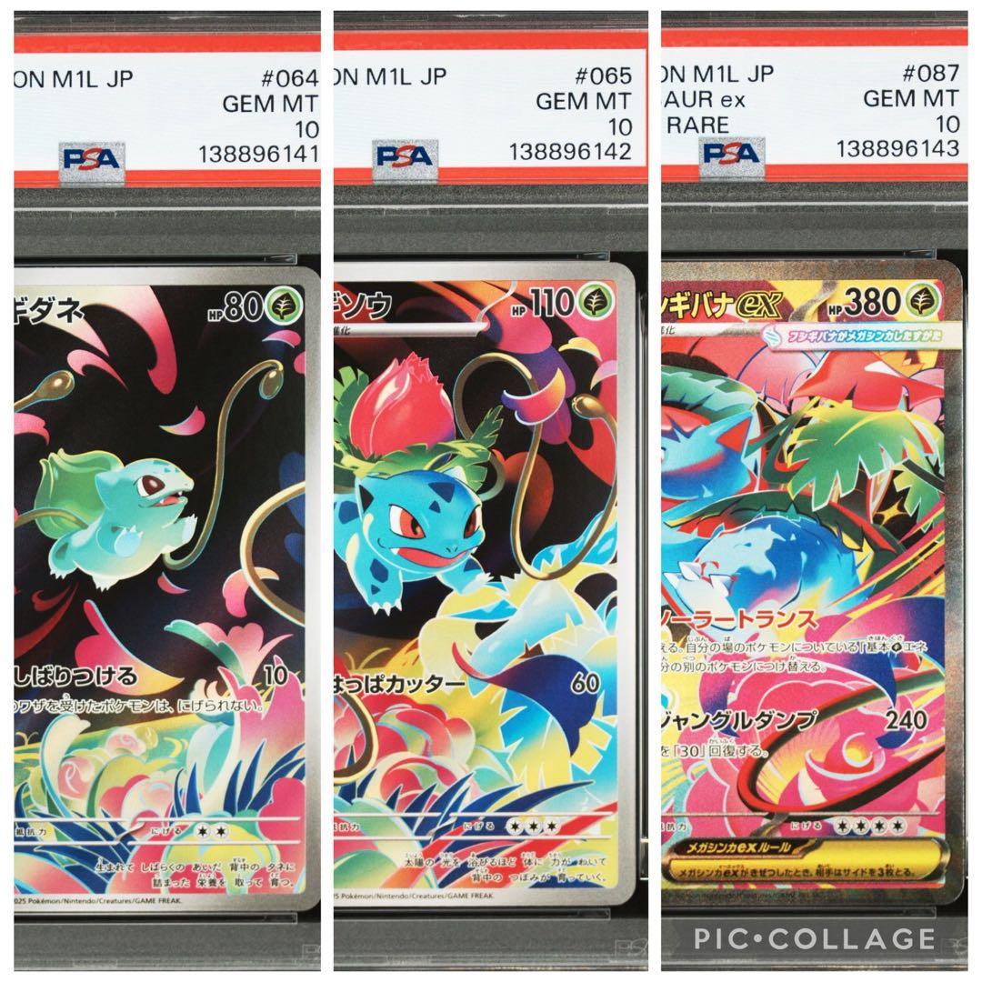 【PSA10 3連番】フシギダネAR•フシギソウAR•メガフシギバナex sar