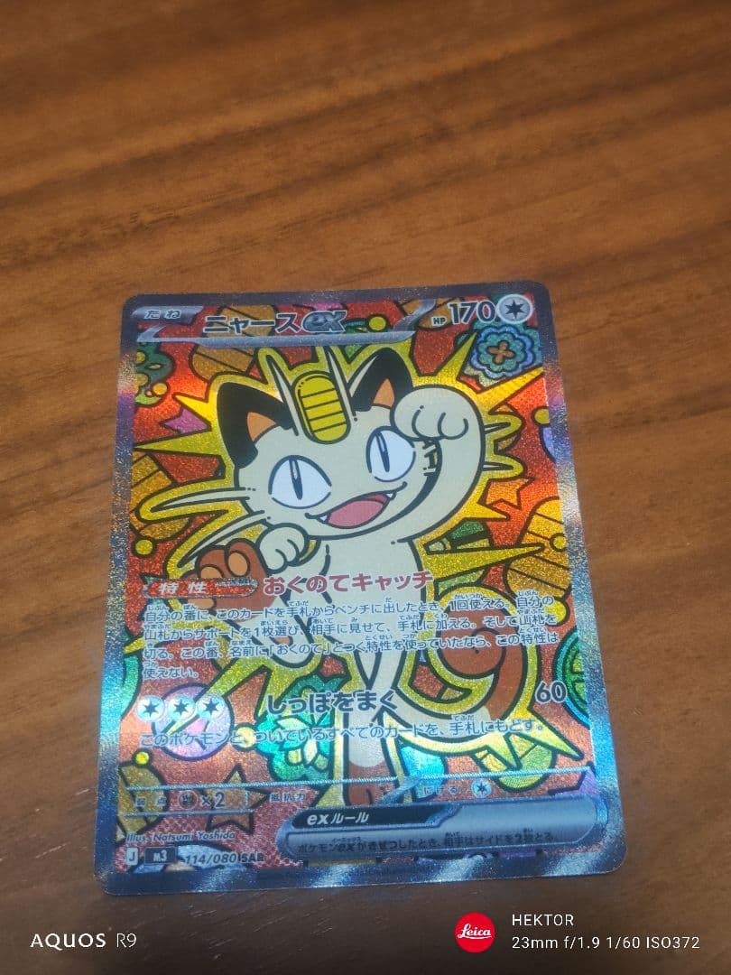 ニャース EX SAR