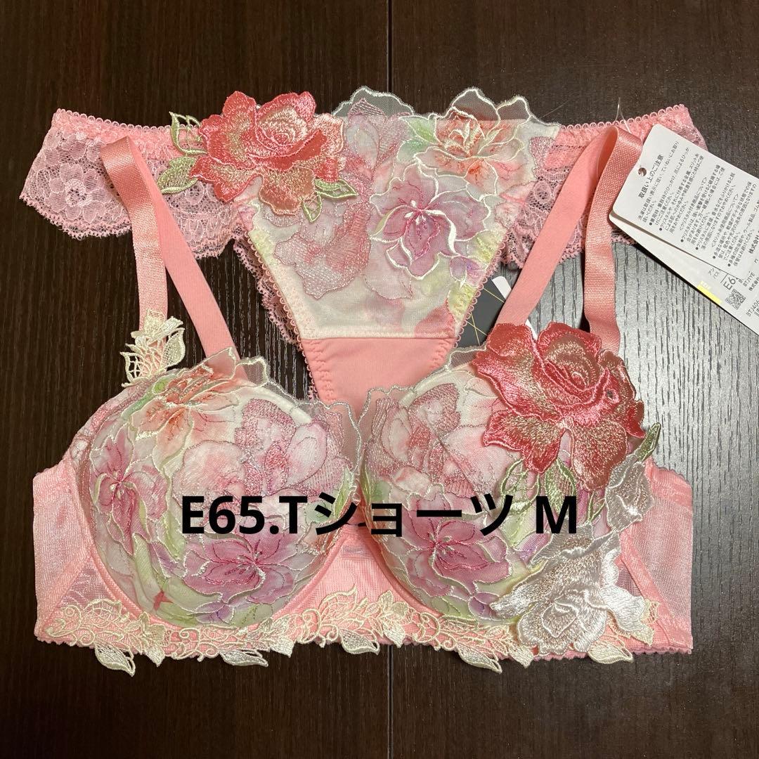 ワコール　サルート06g セットアップ　E65 ワコール サルート 06G ショーツ PTJ406 M・L ソング（Tバック